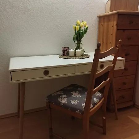 Gemuetliche Maisonette * Magdeburg